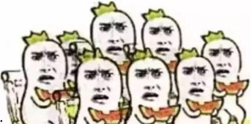 吃瓜群众免费教学,开启全民学习新时代