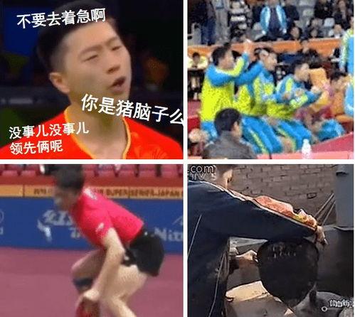 国乒爆料搞笑视频大全集,搞笑视频大全集欢乐回顾